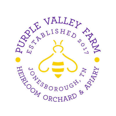 Purple_valley_logo-09_(3)